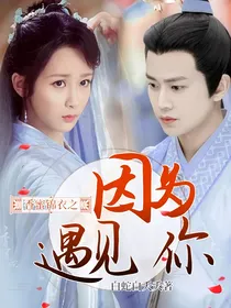 香蜜锦衣之因为遇见你