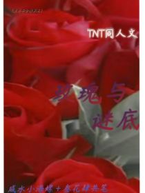 TNT：玫瑰与谜底
