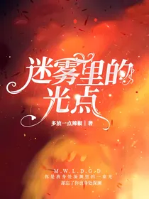 迷雾里的光点