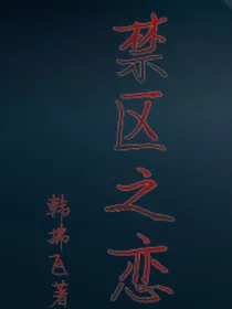 禁区之恋