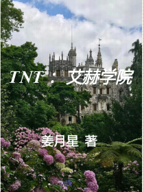 TNT：艾赫学院