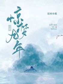 惊梦九年