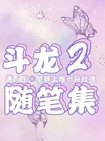 斗龙2随笔集