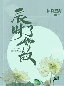 辰时了如故
