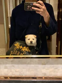 吴露一家养崽日常