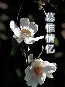 天官：慕惟情忆
