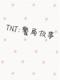 TNT：警局故事