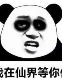 沙雕之作者在发癫