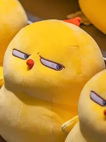 就叫合集吧