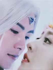 幻城：御樱之莲
