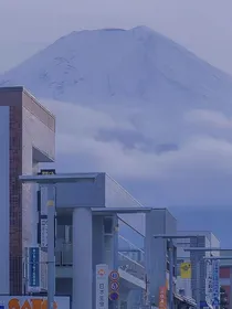 舞路可走
