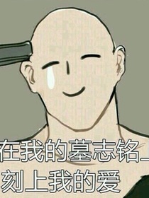 什么年头了吾凰在上还有玛丽苏文