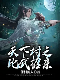 天下村之比武招亲