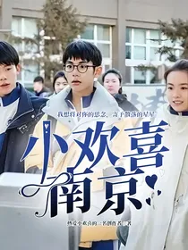 小欢喜南京