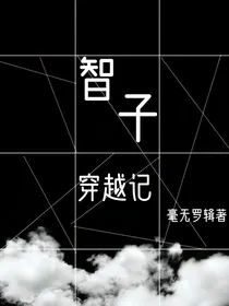 智子穿越记