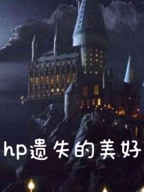 hp遗失的美好