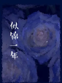 似锦一年