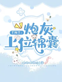 TNT：炮灰上位锦囊
