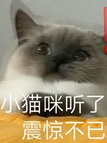 寡王双子与恋爱脑水瓶日常