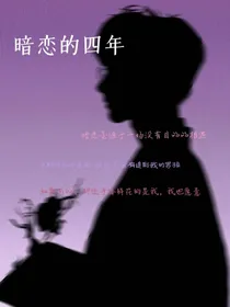 暗恋的四年