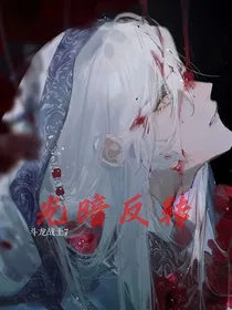 斗龙7光暗反转