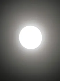 就一普通玩意