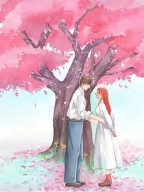 暮春三月，樱花开了