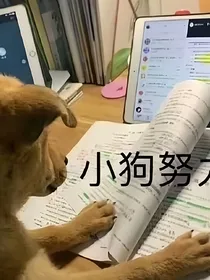 我和前男友一起穿越之前男友变成了太监