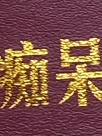 虞赋