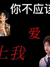 你不应该爱上我