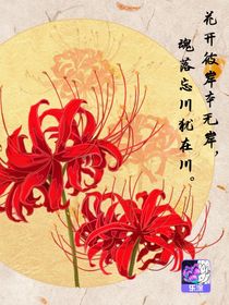 青春末端的放纵