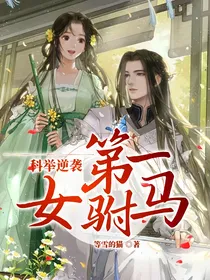 科举逆袭：第一女驸马