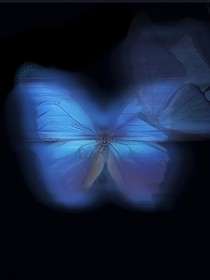 Butterfly：蝴蝶效应