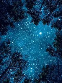 夏时星宇
