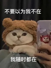 你好35的肖战