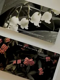 爱而不得，终不合适