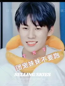 TNT：努力攻略当团宠