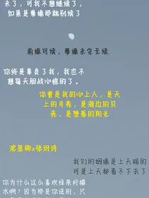 前缘可续，孽缘未完无续……