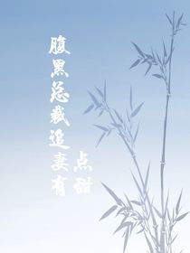 腹黑总裁追妻有点甜