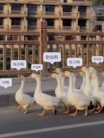 我的甜蜜青春物语