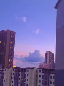 魔尊他人帅话不多