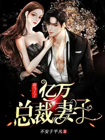 我当上了亿万总裁的妻子