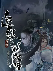 追钗奇缘之反攻略