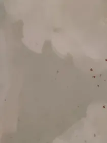 穿成反派大佬后我成了万人迷