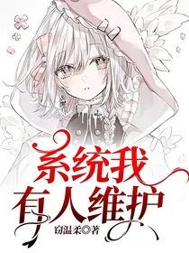 系统我有人维护