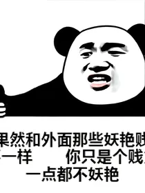 综影视的各种妖艳贱货文