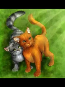 猫武士松赤（松鸦羽赤杨心）同人文