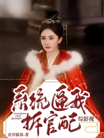 综影视：系统逼我拆官配