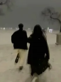 再见，终是不见