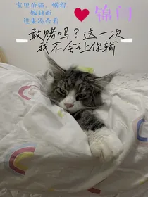 敢赌吗？这一次我不会让你输
